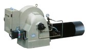 SERIE  G-PG